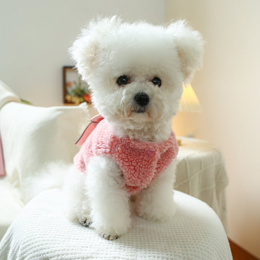 Chaleco Mascotas con Moño - Poliéster Confort - Image 29