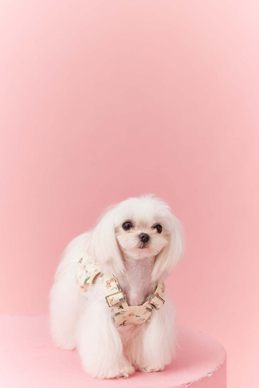 Falda Denim con Tirantes para Perros Pequeños Schnauzer y Maltés - Image 47