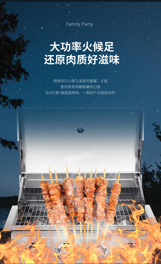 Parrilla Multiusos Resistente al Viento y Óxido - Image 8