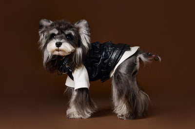 Chaleco de Cuero con Bolsillos de Carga - Diseño Industrial Estampado Mascotas - Image 15