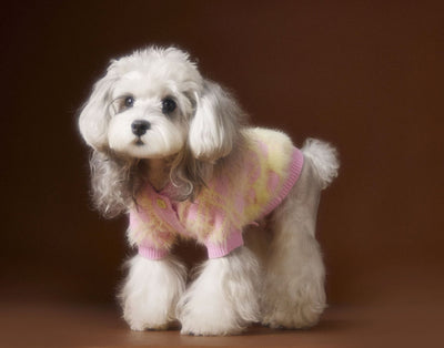 Suéter Cardigan Adorable para Perros Schnauzer y Bichón - Image 21