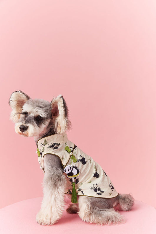 Chaleco sin Mangas Estilo Chino para Mascotas - Diseño Panda Teddy Schnauzer Bichón - Image 14