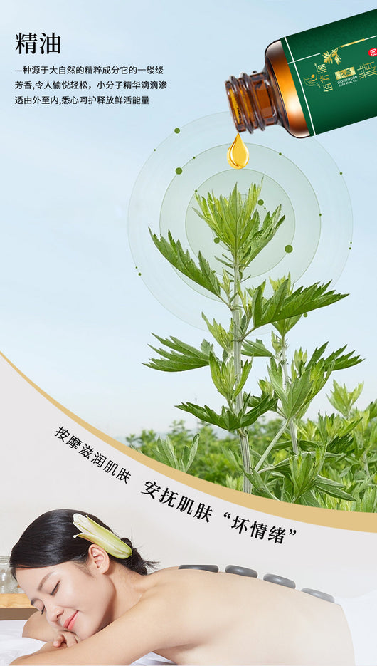 Aceite Esencial Orgánico de Ajenjo para Masaje Corporal - Image 10