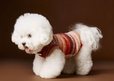 Chaleco Sin Mangas para Mascotas Schnauzer Bichón Rayas Arcoíris Variegadas - Image 10