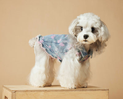 Chaleco Denim sin Mangas para Perros - Diseño Desgastado Love - Image 19