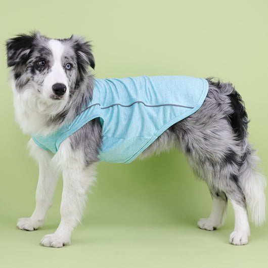 Ropa Reflectante para Perros Pequeños - Chaleco Luminoso Teddy, Pomerania y Pug - Image 25