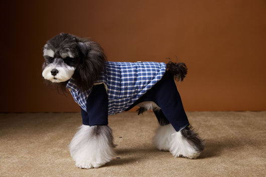 Chaleco Acolchado de Invierno para Perros - Image 26