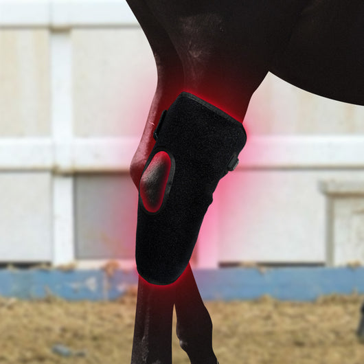 Dispositivo Portátil de Fototerapia para Recuperación de Espalda y Rodillas en Caballos - Image 21