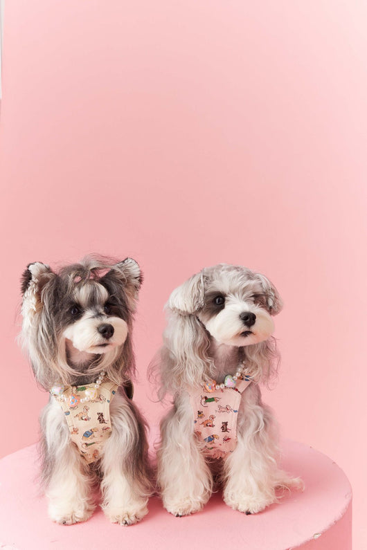 Falda Denim con Tirantes para Perros Pequeños Schnauzer y Maltés - Image 15