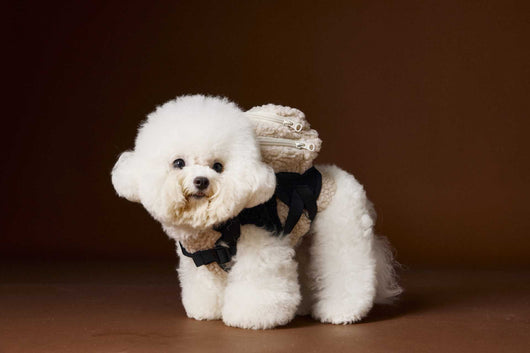 Chaleco de Terciopelo Acolchado Schnauzer Bichon sin Mangas - Image 48