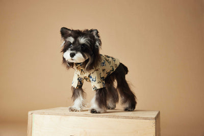 Playera Estampada con Razas de Perros - Dachshund, Schnauzer, Bichón y Maltés - Image 33