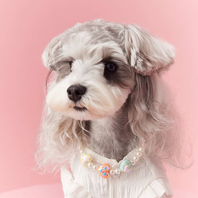 Adornos de Cuentas para Mascotas - Accesorios Decorativos Cóncavos para Perros - Image 19