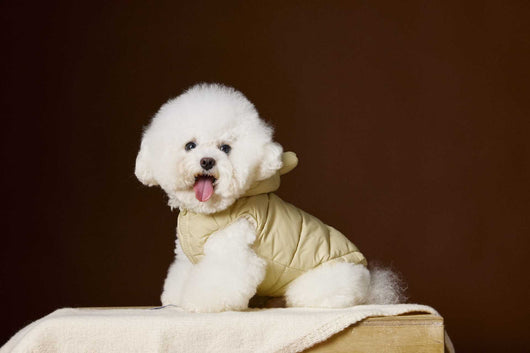 Chaleco Acolchado sin Mangas con Capucha - Diseño Adorable de Schnauzer y Bichón - Image 12