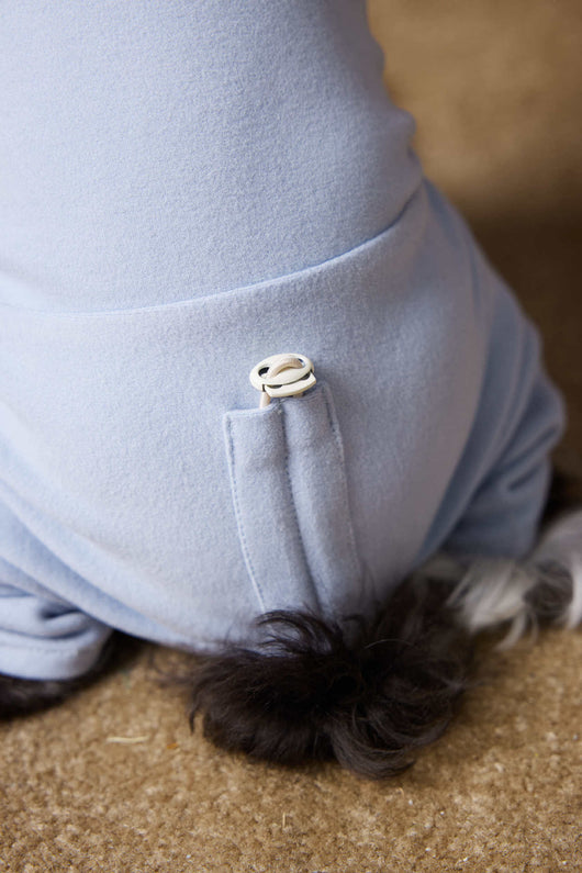 Playera Térmica para Perros Schnauzer y Bichón - Cómoda y Abrigadora - Image 30