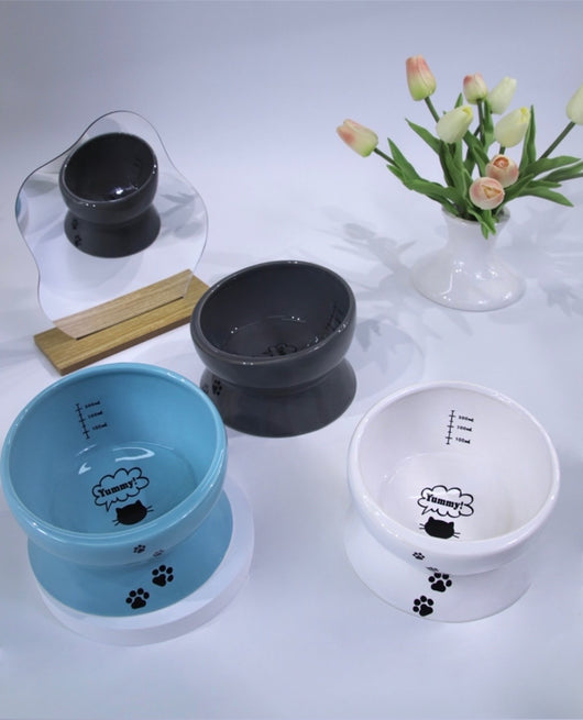 Comedero para Gatos con Protección Espinal y Borde Elevado - Image 10