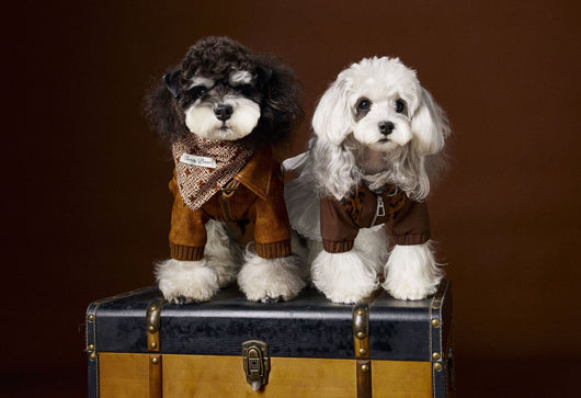 Abrigo de Cuero Retro Estampado Schnauzer Bichon - Manga Larga Unisex - Image 21