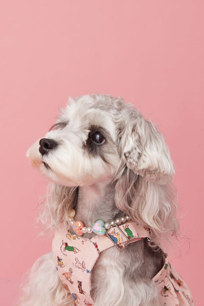 Falda Denim con Tirantes para Perros Pequeños Schnauzer y Maltés - Image 29
