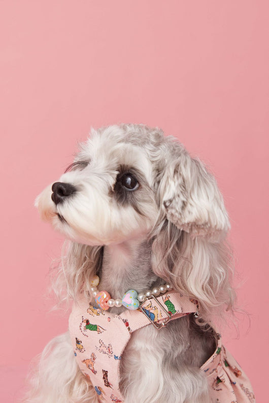 Falda Denim con Tirantes para Perros Pequeños Schnauzer y Maltés - Image 29