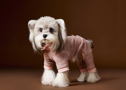 Ropa para Perros Teddy Schnauzer Bichon Bicolor Cómoda - Image 13