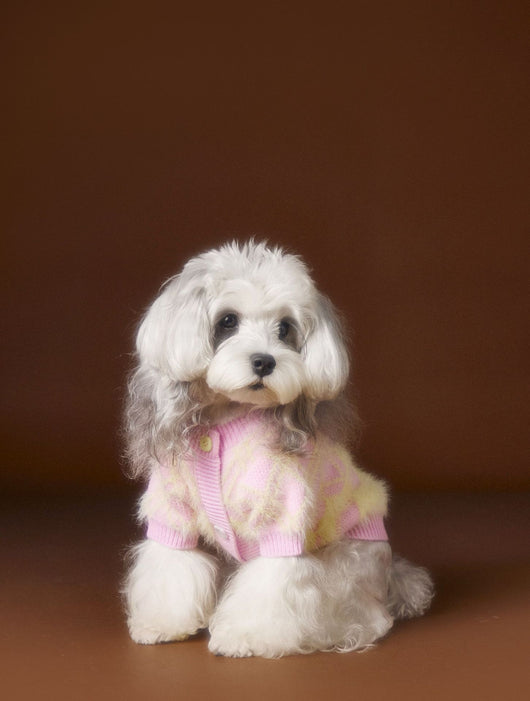 Suéter Cardigan Adorable para Perros Schnauzer y Bichón - Image 9