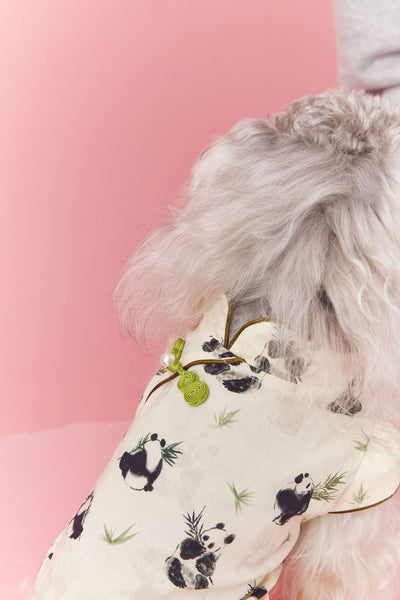 Chaleco sin Mangas Estilo Chino para Mascotas - Diseño Panda Teddy Schnauzer Bichón - Image 12