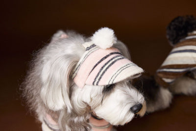 Gorro de Pelota Esponjosa a Rayas para Mascotas - Image 19