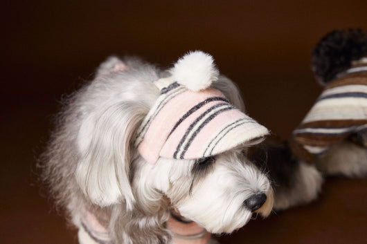 Gorro de Pelota Esponjosa a Rayas para Mascotas - Image 19