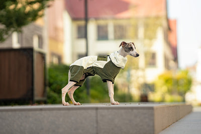 Abrigo Térmico para Mascotas con Cuello Desmontable Resistente al Viento - Image 16