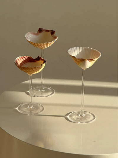 Vaso Térmico Diseño Concha Marina - Taza Creativa para Bebidas - Image 9