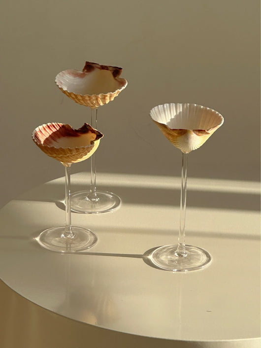 Vaso Térmico Diseño Concha Marina - Taza Creativa para Bebidas - Image 9