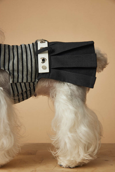 Vestido Rayado Primavera y Verano para Perros - Image 9