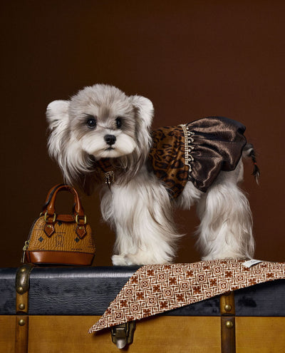 Vestido Otoñal Estampado Leopardo para Perros - Image 18