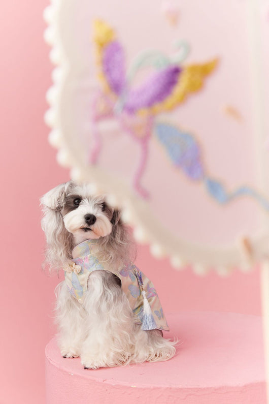 Chaleco Cheongsam Estilo Neo-Chino para Mascotas Pequeños - Schnauzer y Bichón - Image 18