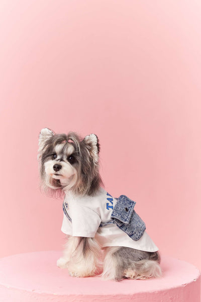 Ropa de Verano para Perros Pequeños - Teddy Schnauzer Bichón - Image 42