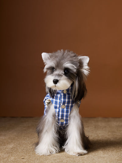Chaleco Acolchado de Invierno para Perros - Image 16