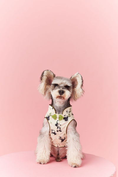Chaleco sin Mangas Estilo Chino para Mascotas - Diseño Panda Teddy Schnauzer Bichón - Image 40
