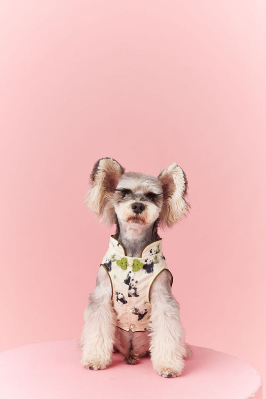 Chaleco sin Mangas Estilo Chino para Mascotas - Diseño Panda Teddy Schnauzer Bichón - Image 40