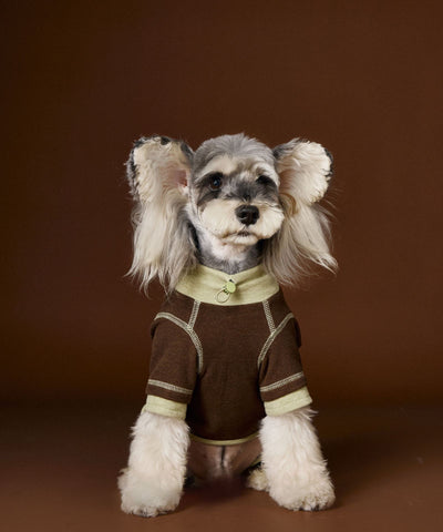 Ropa para Perros Teddy Schnauzer Bichon Bicolor Cómoda - Image 27