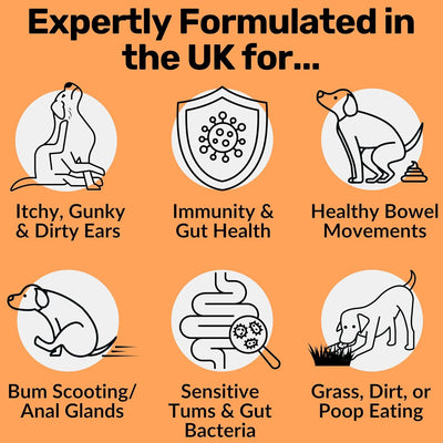 Snacks Prebióticos para Perros - Salud Digestiva e Intestinal - Image 13