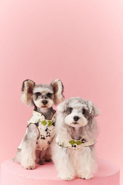 Chaleco sin Mangas Estilo Chino para Mascotas - Diseño Panda Teddy Schnauzer Bichón - Image 10