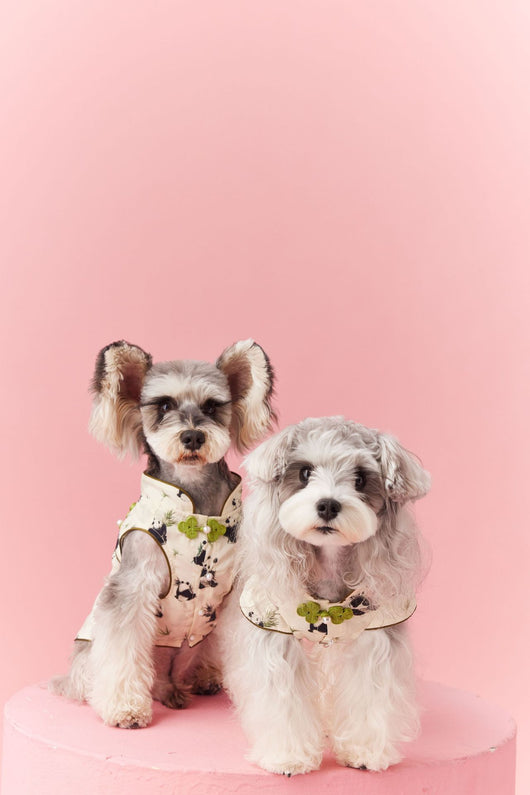 Chaleco sin Mangas Estilo Chino para Mascotas - Diseño Panda Teddy Schnauzer Bichón - Image 10