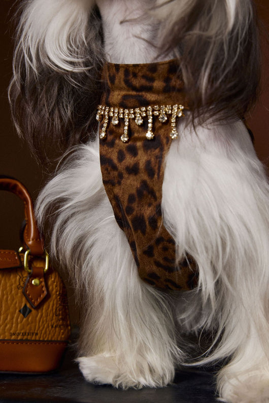 Vestido Otoñal Estampado Leopardo para Perros - Image 16