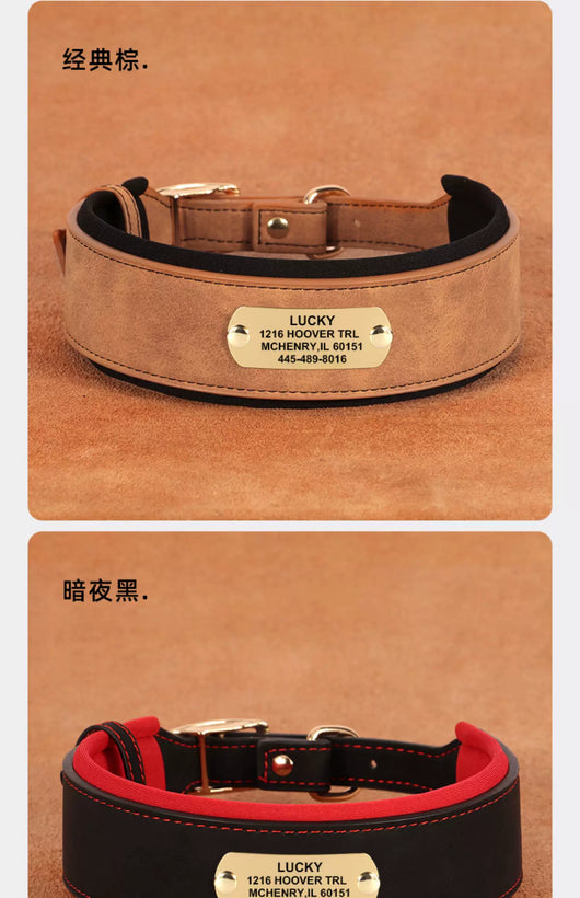 Collar Ancho para Perro con Letrero Antideslizante - Image 25
