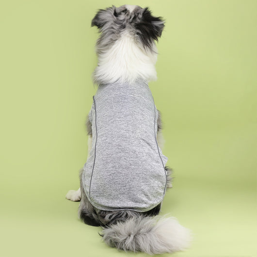 Ropa Reflectante para Perros Pequeños - Chaleco Luminoso Teddy, Pomerania y Pug - Image 41