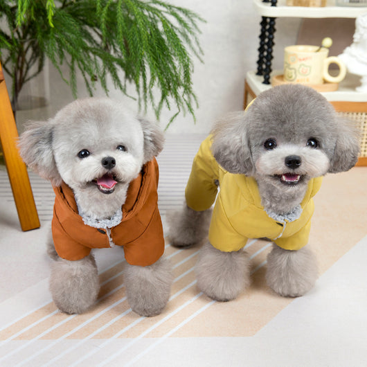 Ropa de Abrigo para Perros Otoño e Invierno - Image 19