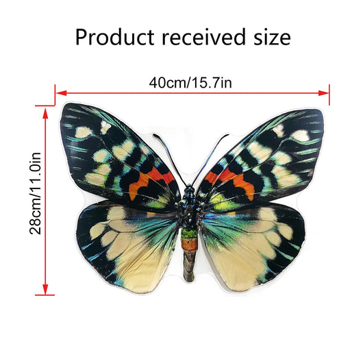 Pegatinas Decorativas de Mariposas para Pared - Image 13