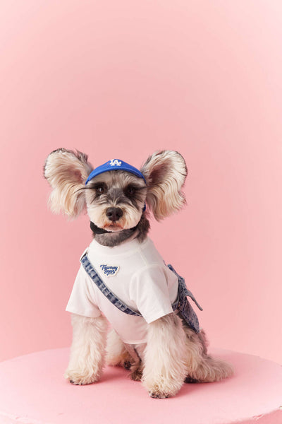 Ropa de Verano para Perros Pequeños - Teddy Schnauzer Bichón - Image 36