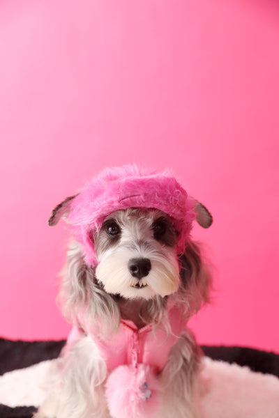 Chaleco Acolchado Grueso de Plumas para Otoño e Invierno - Image 18
