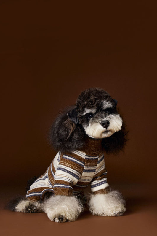 Suéter Térmico de Rayas para Perros Pequeños - Schnauzer, Bichón y Maltés - Image 44