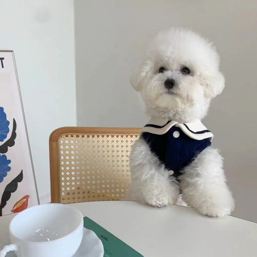 Chaleco Marinero Delgado para Mascotas - Image 11